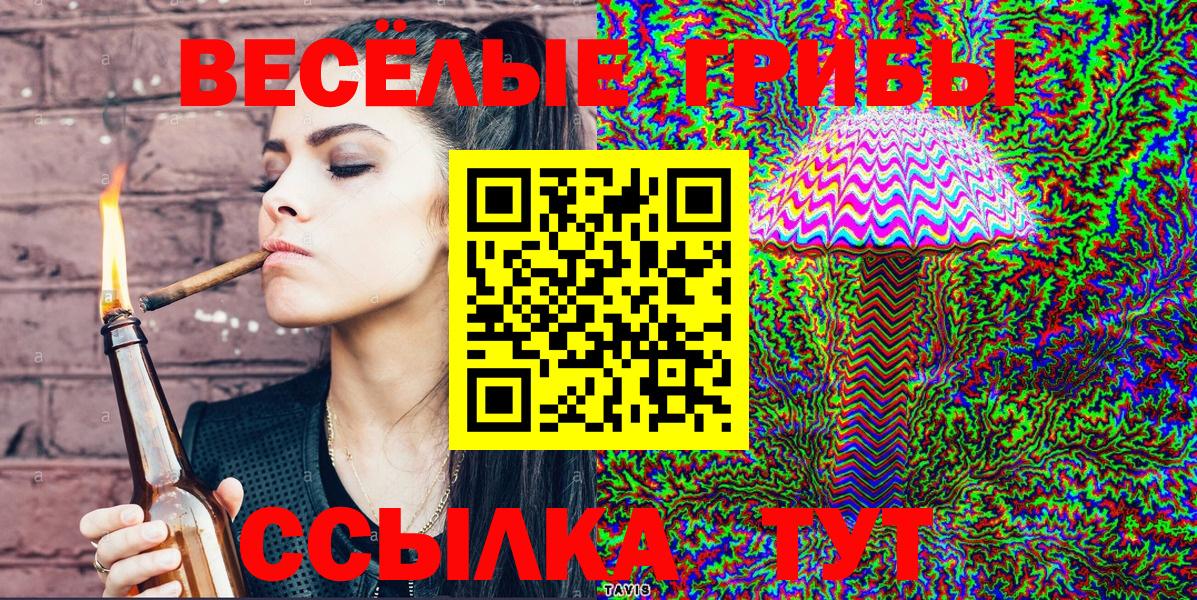 Камышин  Псилоцибиновые грибы мухоморы  Вход с VPN 