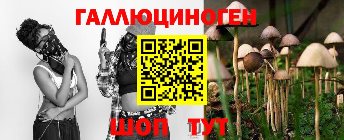 Псилоцибиновые грибы прущие грибы Камышин